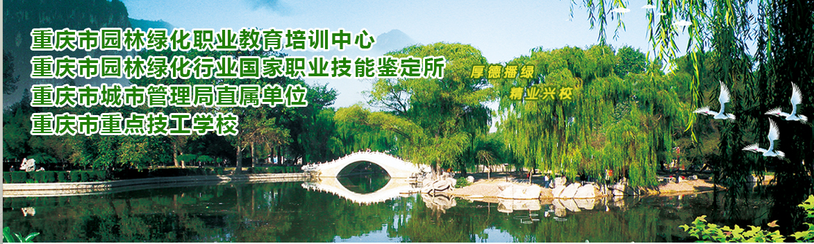 培训机构